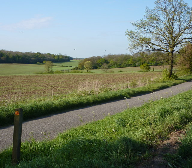 Looking across Gipping Road - geograph.org.uk - 1279600