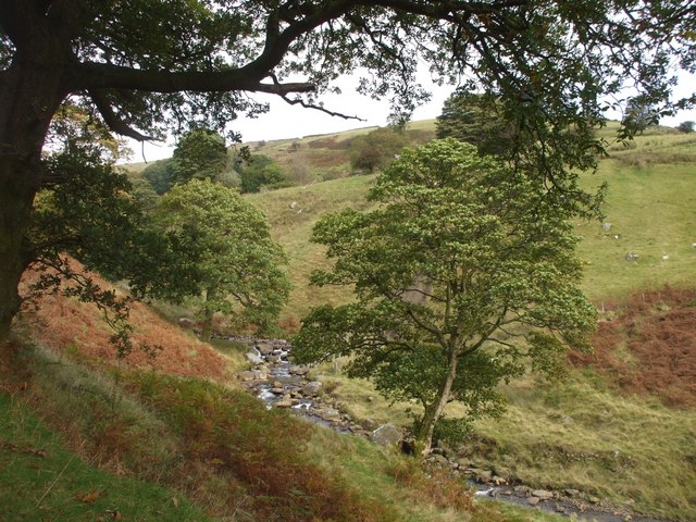 File:Looking down on the Corrwg Fechan - geograph.org.uk - 1001707.jpg