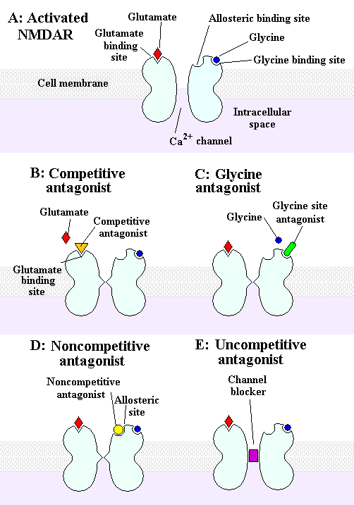 nmda antagonist