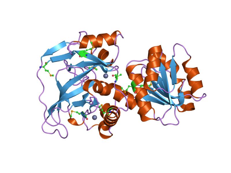 File:PDB 1jvb EBI.jpg