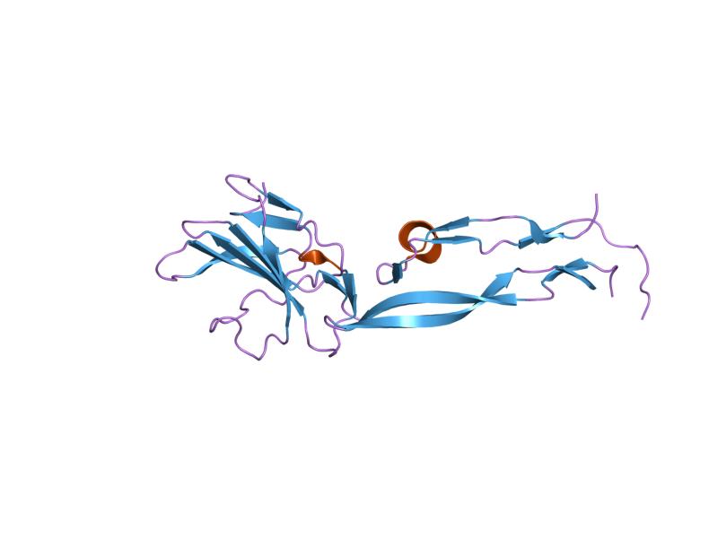 File:PDB 1ktz EBI.jpg