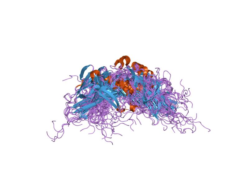 File:PDB 1n6u EBI.jpg