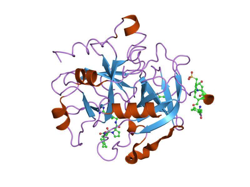 File:PDB 1o0d EBI.jpg