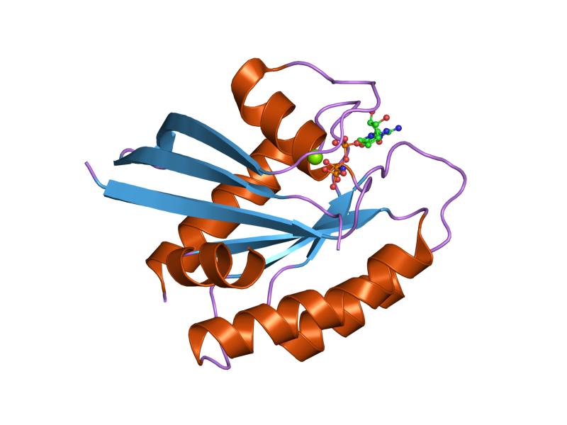 File:PDB 1p2t EBI.jpg