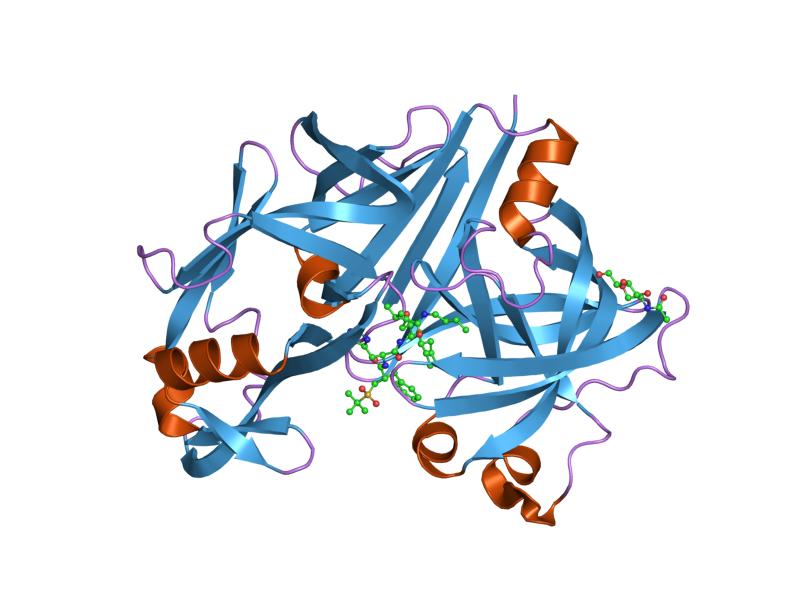 File:PDB 1rne EBI.jpg