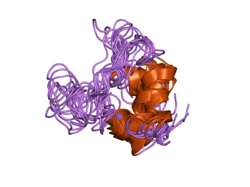 File:PDB 3gf1 EBI.jpg