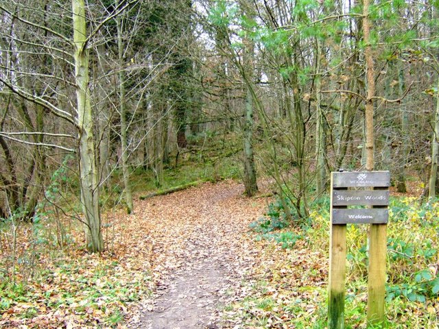 Path through Skipton Wood