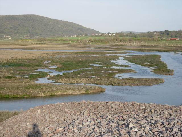 File:Porlock Saltings - geograph.org.uk - 163665.jpg