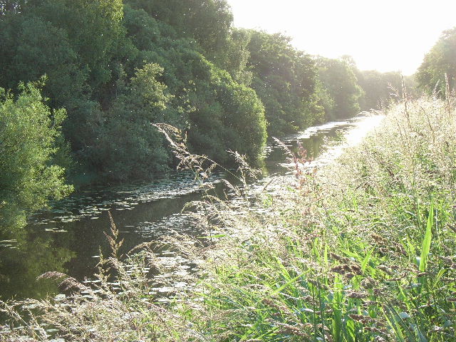 File:Royal Canal at Ardrums Great, Co. Meath - geograph.org.uk - 1387805.jpg