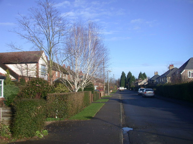 File:South Road, Impington - geograph.org.uk - 660100.jpg