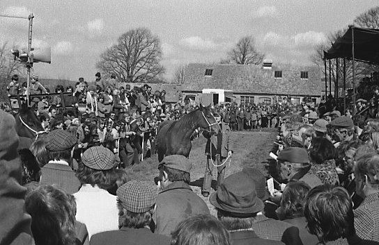 File:Stow Horse Fair - geograph.org.uk - 1576360.jpg