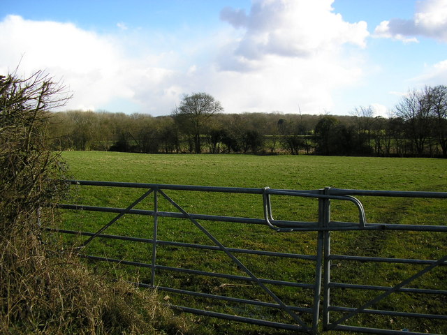 File:Stumps Grove - geograph.org.uk - 130414.jpg