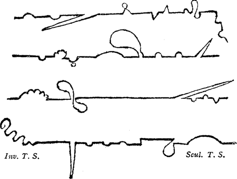 File:Tristram Shandy Plot lines.png