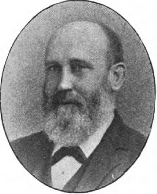 William Johnson (Liberal-Labour politician)