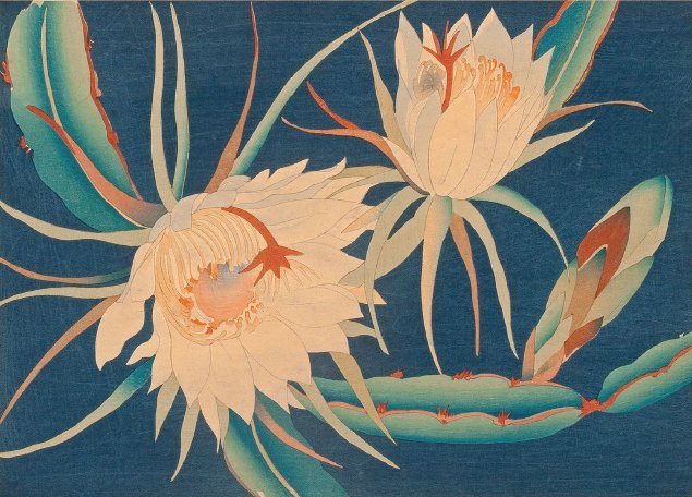 File:'Night Blooming Cereus' by Shirley Russell, woodblock on paper, 1929.jpg