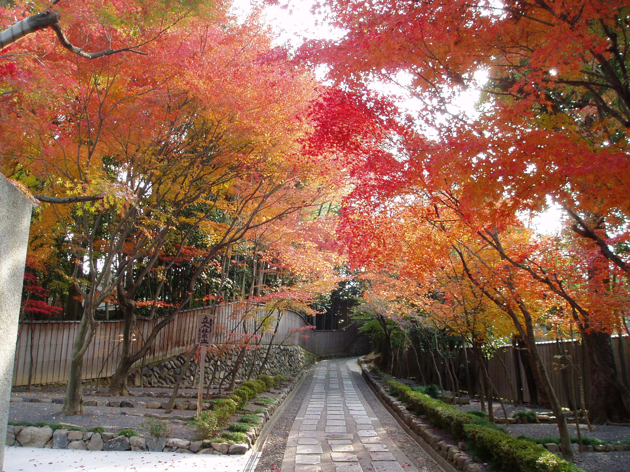 「東福寺」的圖片搜尋結果