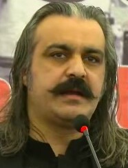 File:Ali Amin Gandapur (cropped).jpg