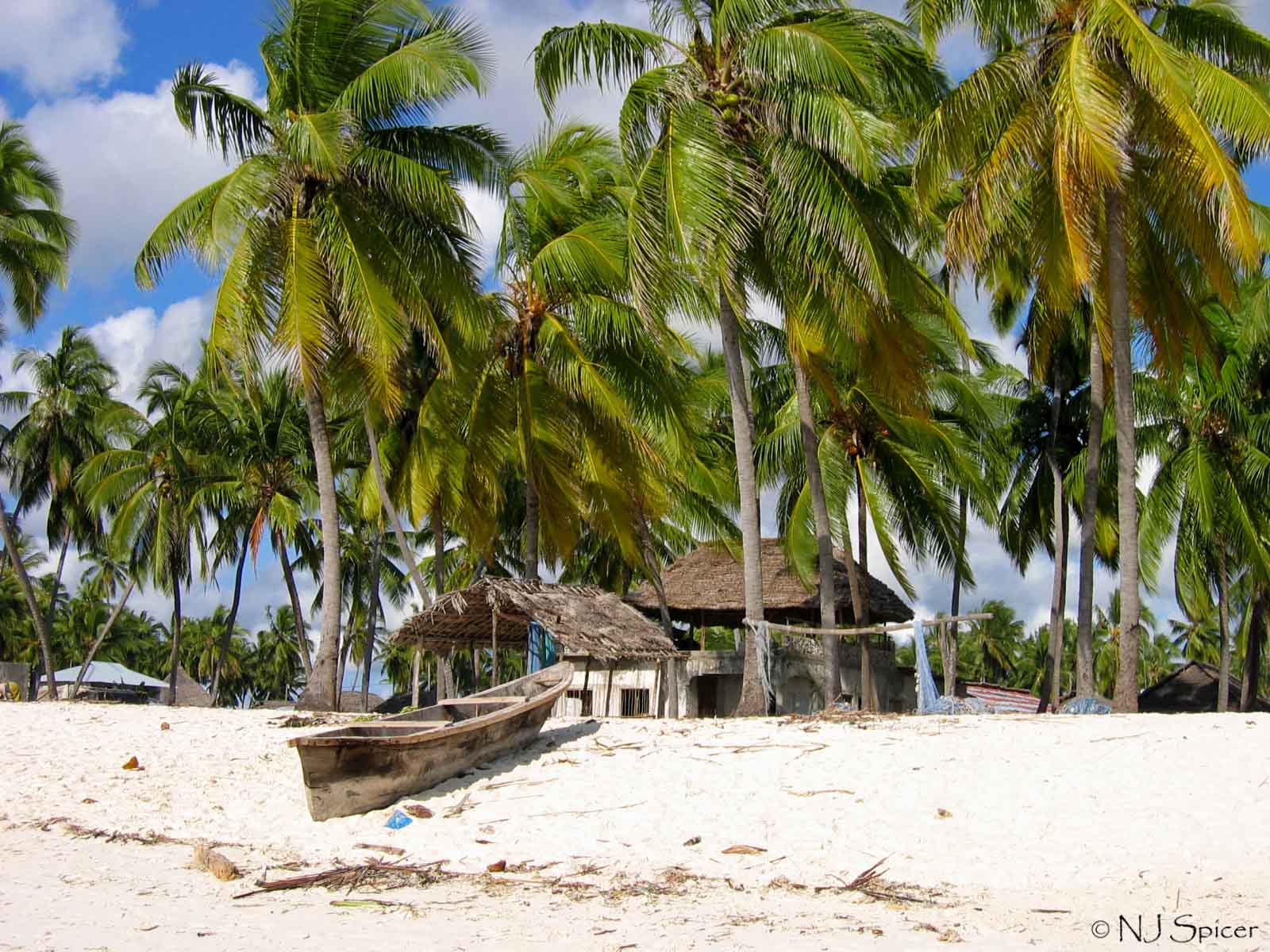 File:Beach at Zanzibar.jpg - Wikimedia Commons
