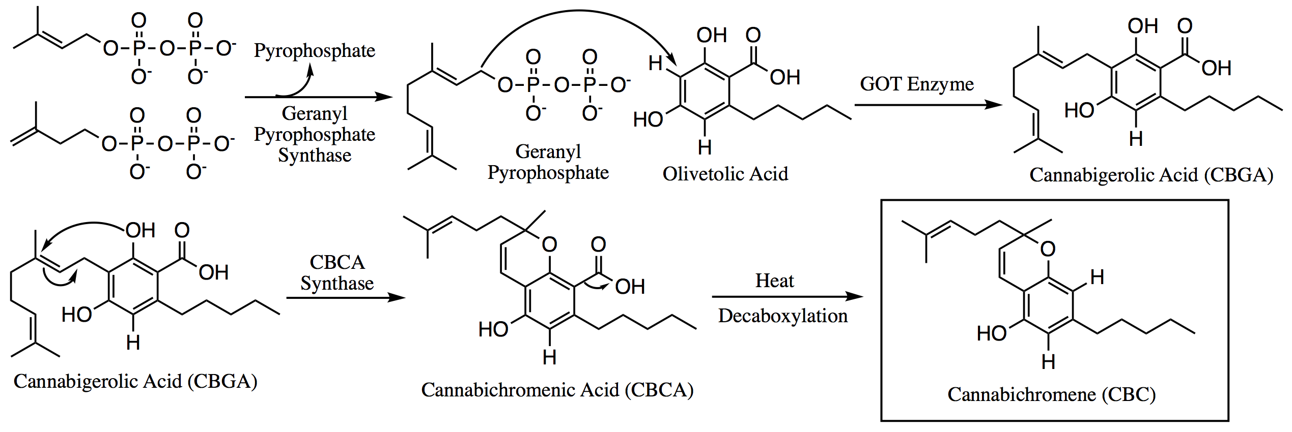 Tetrahydrocannabiphorol - Wikipedia