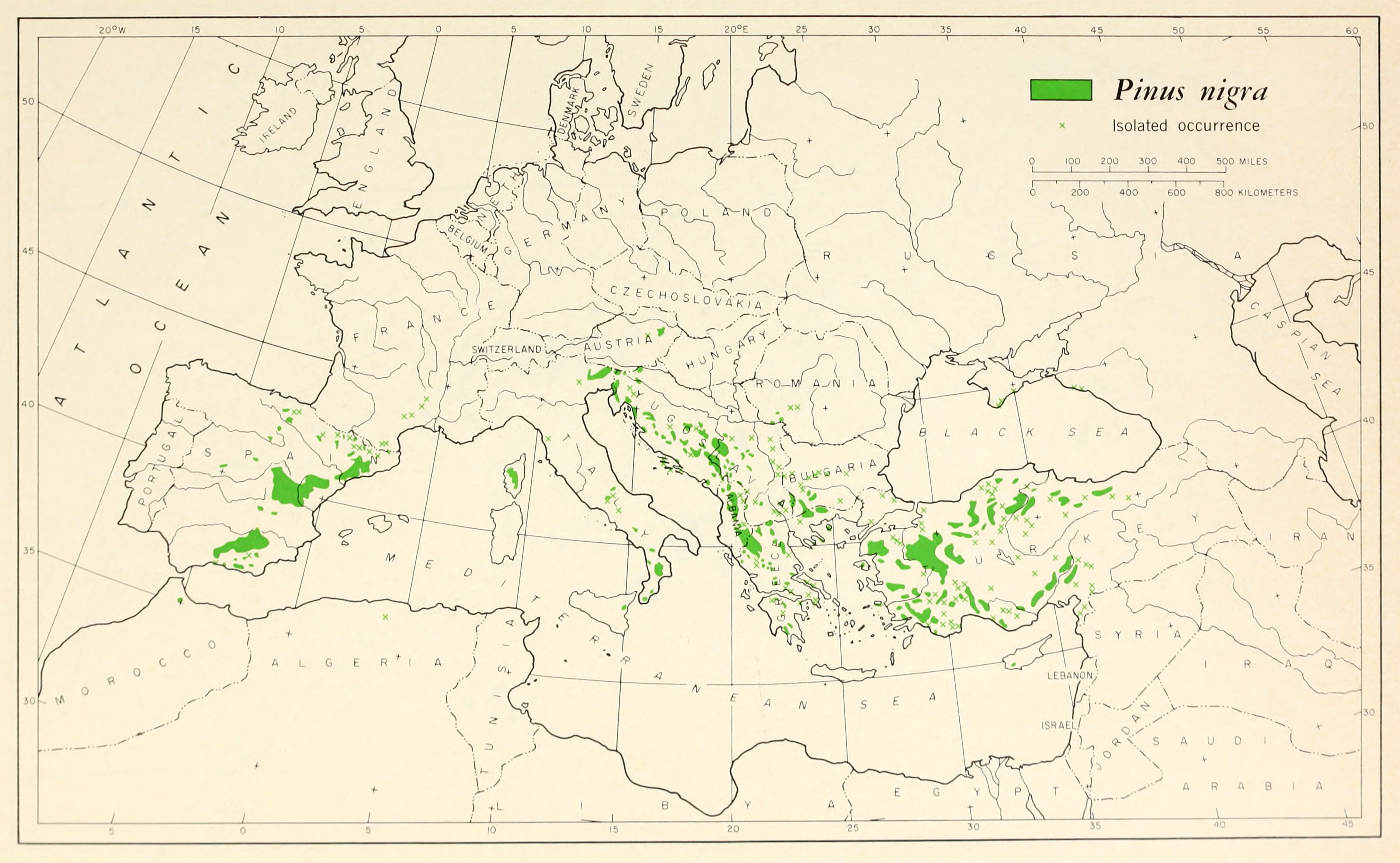 CL-27_Pinus_nigra_range_map.png