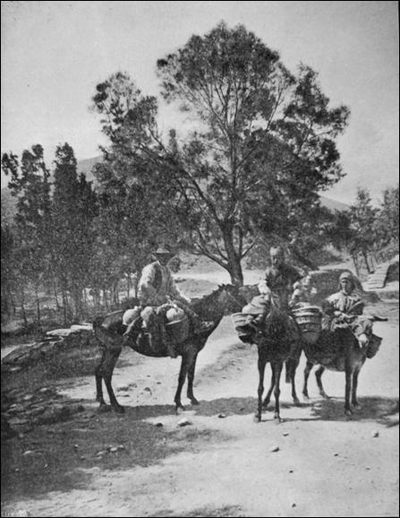 File:Caballos Serrano 1918.jpg