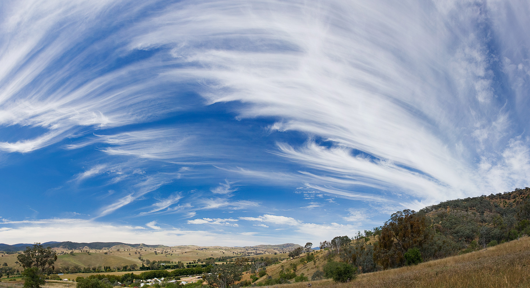 Cirrus Vertebratus Cloud Description