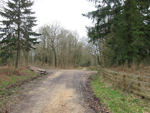 Clay Pit Road, Ampfield Wood - geograph.org.uk - 1780234