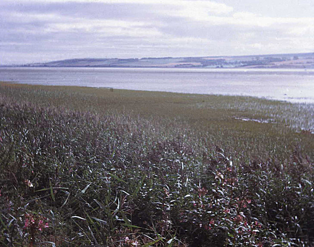 File:Cromarty Firth from near Ardullie Lodge - geograph.org.uk - 617716.jpg