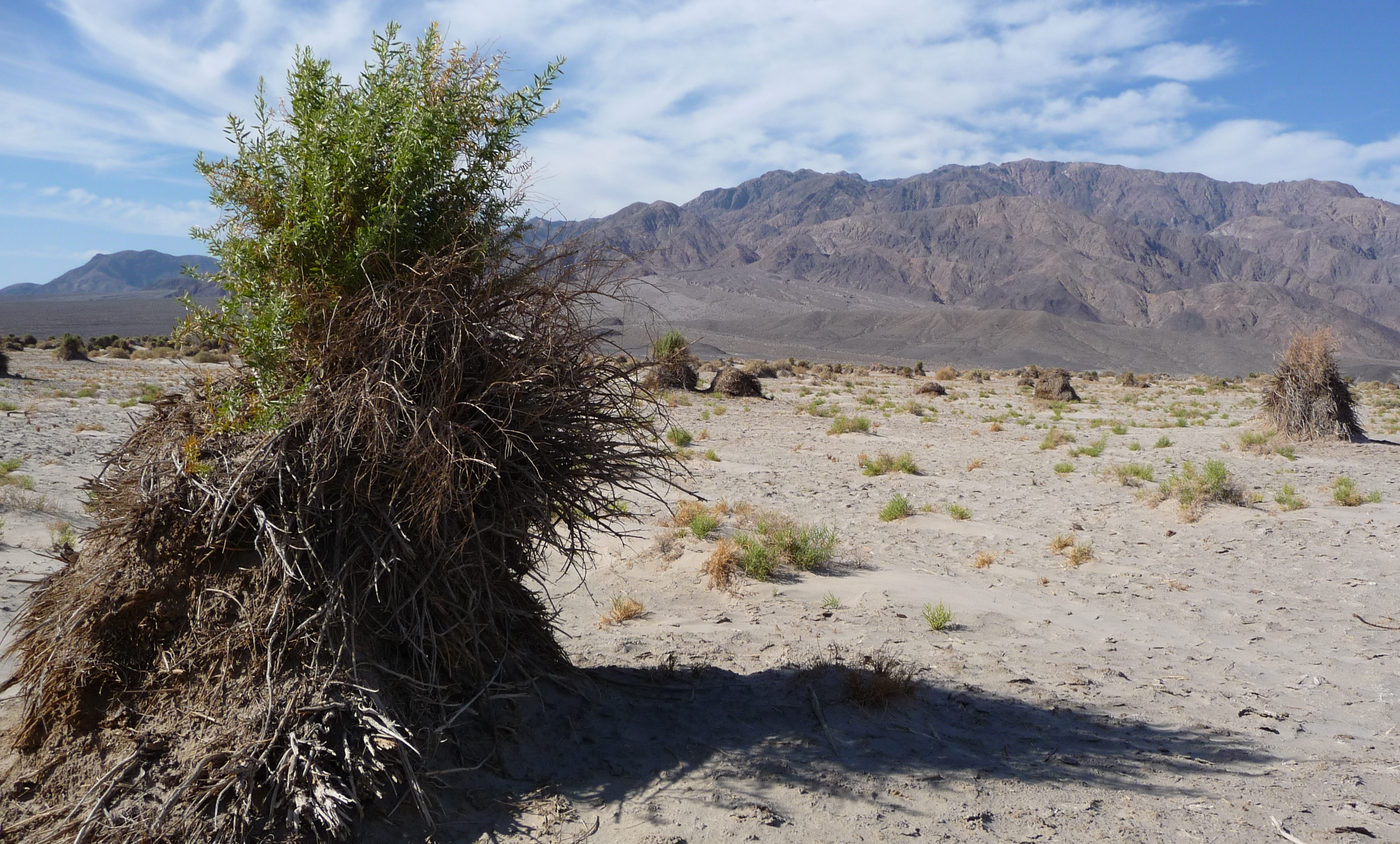 tourist attractions death valley