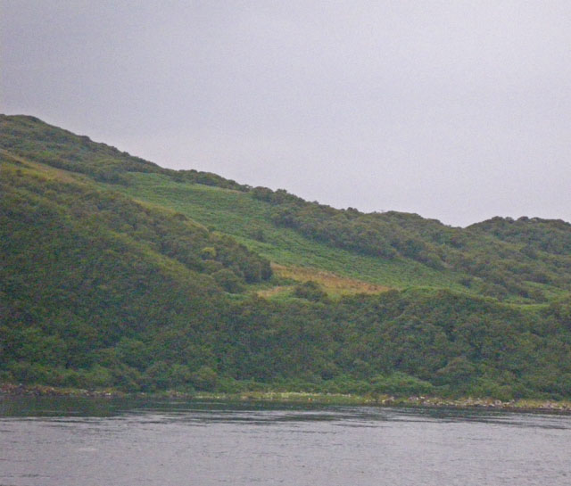 File:Densely vegetated slopes of coastal western Islay - geograph.org.uk - 1419708.jpg