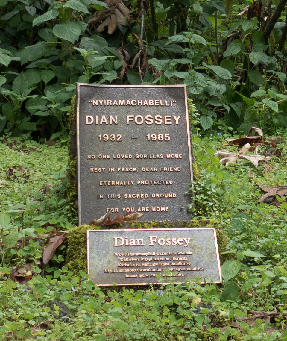 Dian Fossey - Wikiquote