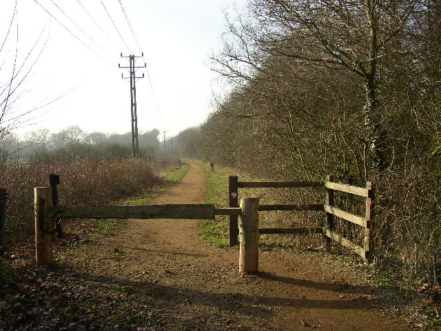 File:Disused Railway looking west, Ash, Surrey - geograph.org.uk - 115226.jpg