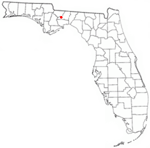 Fort Braden, Florida human settlement in Florida, United States of America