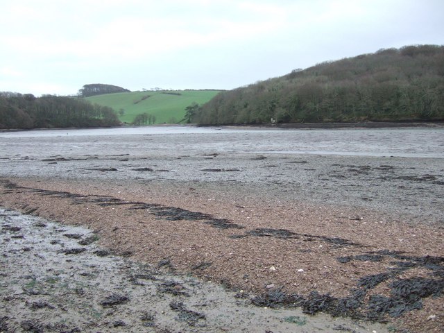 File:Halwell Wood across Frogmore Creek - geograph.org.uk - 308914.jpg