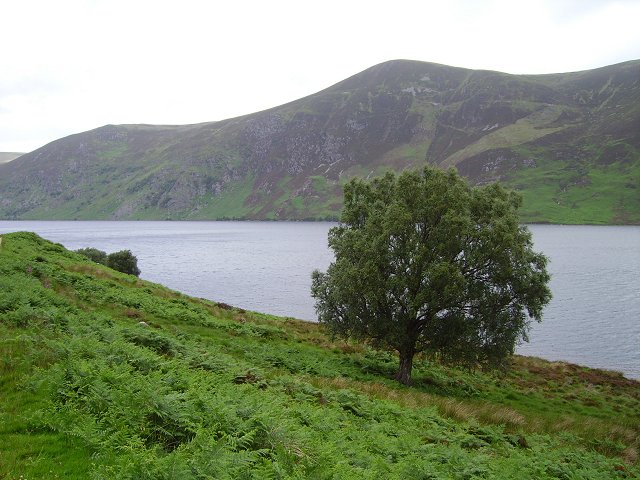 Loch Glass - geograph.org.uk - 208971