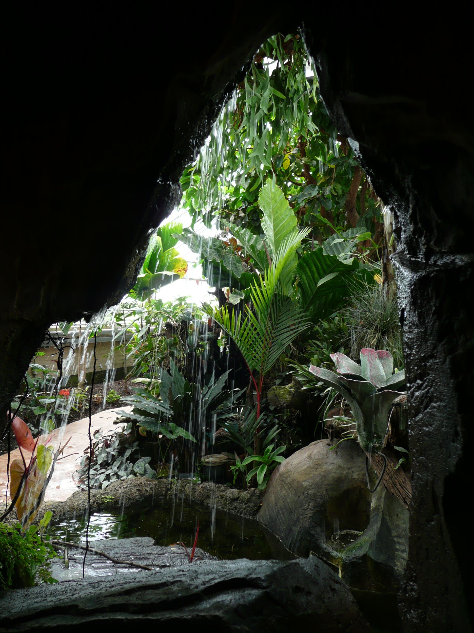 File New Orleans Botanical Garden Waterfall Jpg Wikimedia Commons