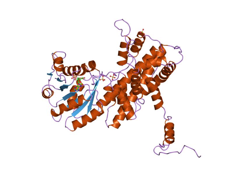 File:PDB 1pgq EBI.jpg