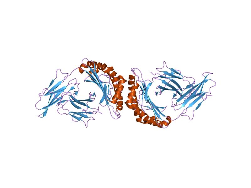 File:PDB 1q94 EBI.jpg