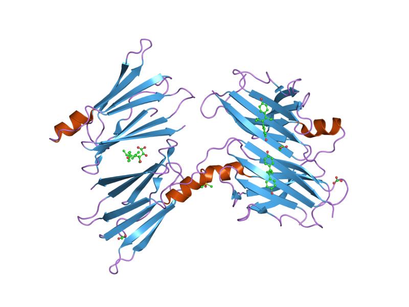 File:PDB 1tz8 EBI.jpg