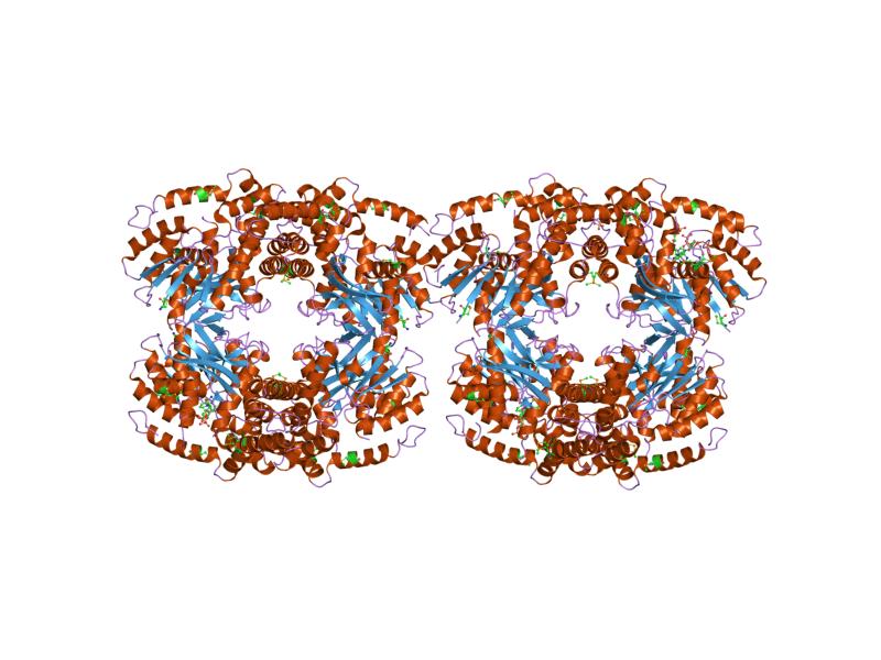 File:PDB 1up6 EBI.jpg