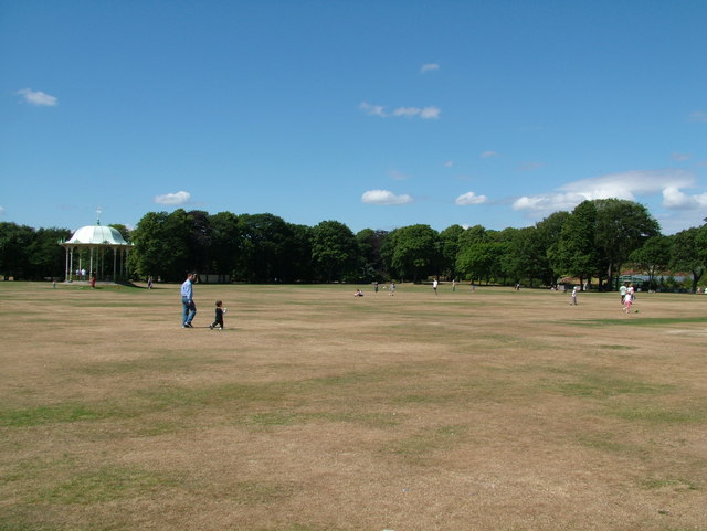 Parched Grass at the Duthie Park - geograph.org.uk - 213991