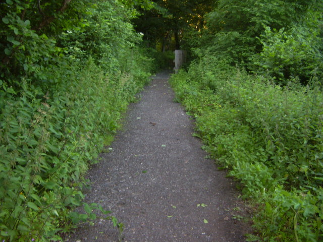 Path to Thornley Woodlands Centre - geograph.org.uk - 853961