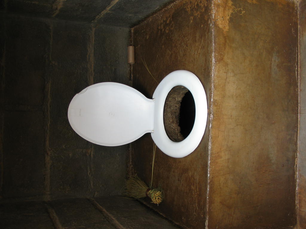 https://upload.wikimedia.org/wikipedia/commons/3/36/Pit_latrine_for_household%2C_Lesotho_%28good_condition%29_%282937872226%29.jpg