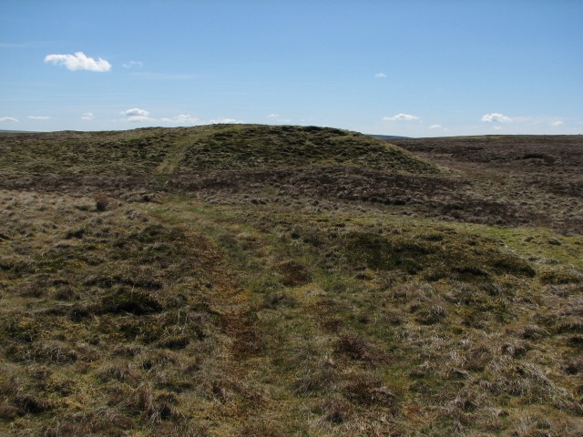 File:Quad bike track - geograph.org.uk - 164886.jpg