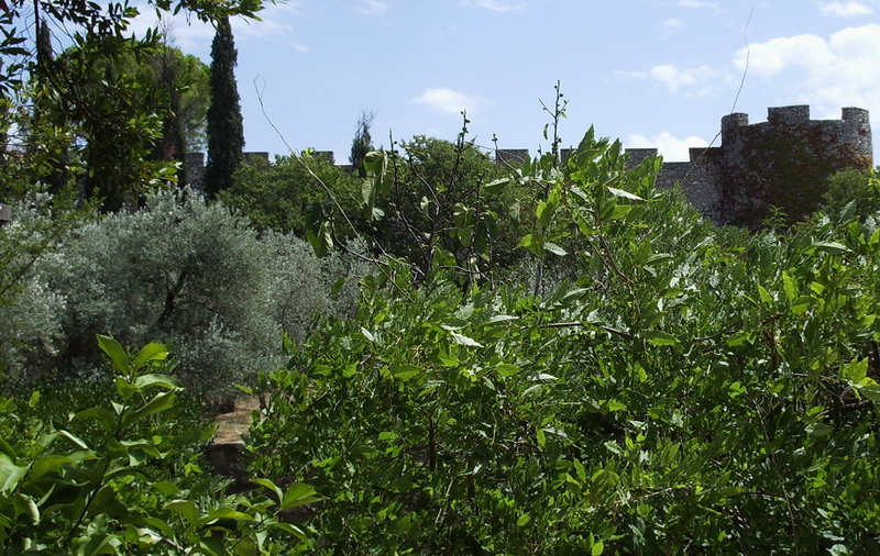 Rocca aldobrandesca di Saturnia (Castello Ciacci)