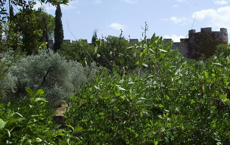 La Rocca aldobrandesca di Saturnia