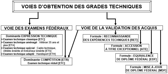 File:Schéma filière examen grades JUDO & JJM-21mars21.jpg