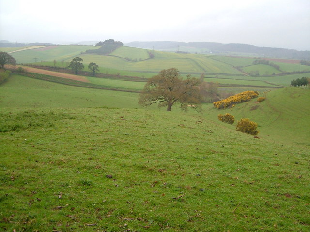 File:View near Kenton - geograph.org.uk - 155701.jpg