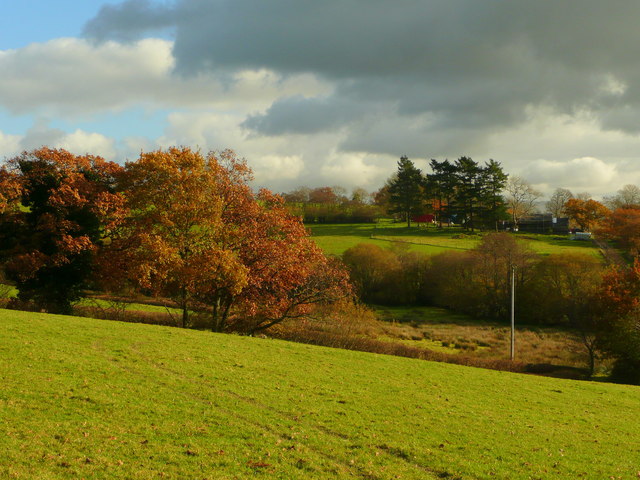 File:View towards Banc-y-gwin - geograph.org.uk - 1042675.jpg