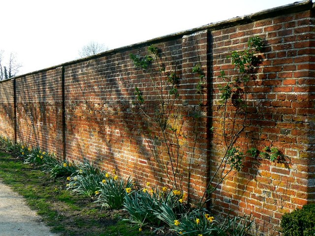 Walled garden, Lydiard Park, Swindon - geograph.org.uk - 384583